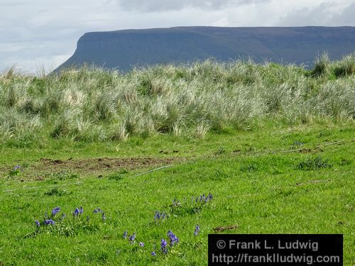 Benbulben from Coney Island